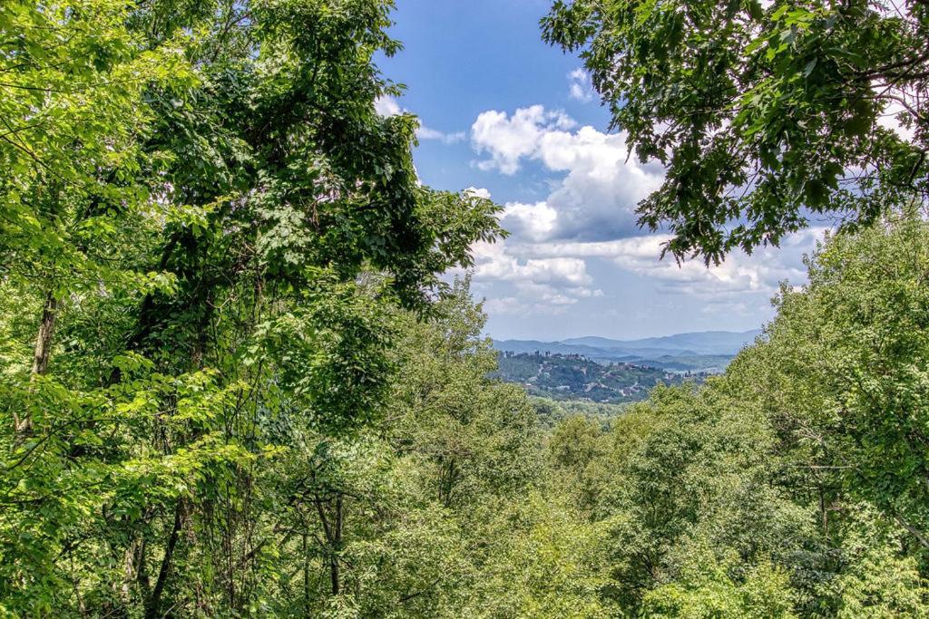 Serenity Heights, Amazing Views, Hot Tub Pool Access, 1089 Free Tickets Each Paid Day, Dollywood Гатлинбург Экстерьер фото