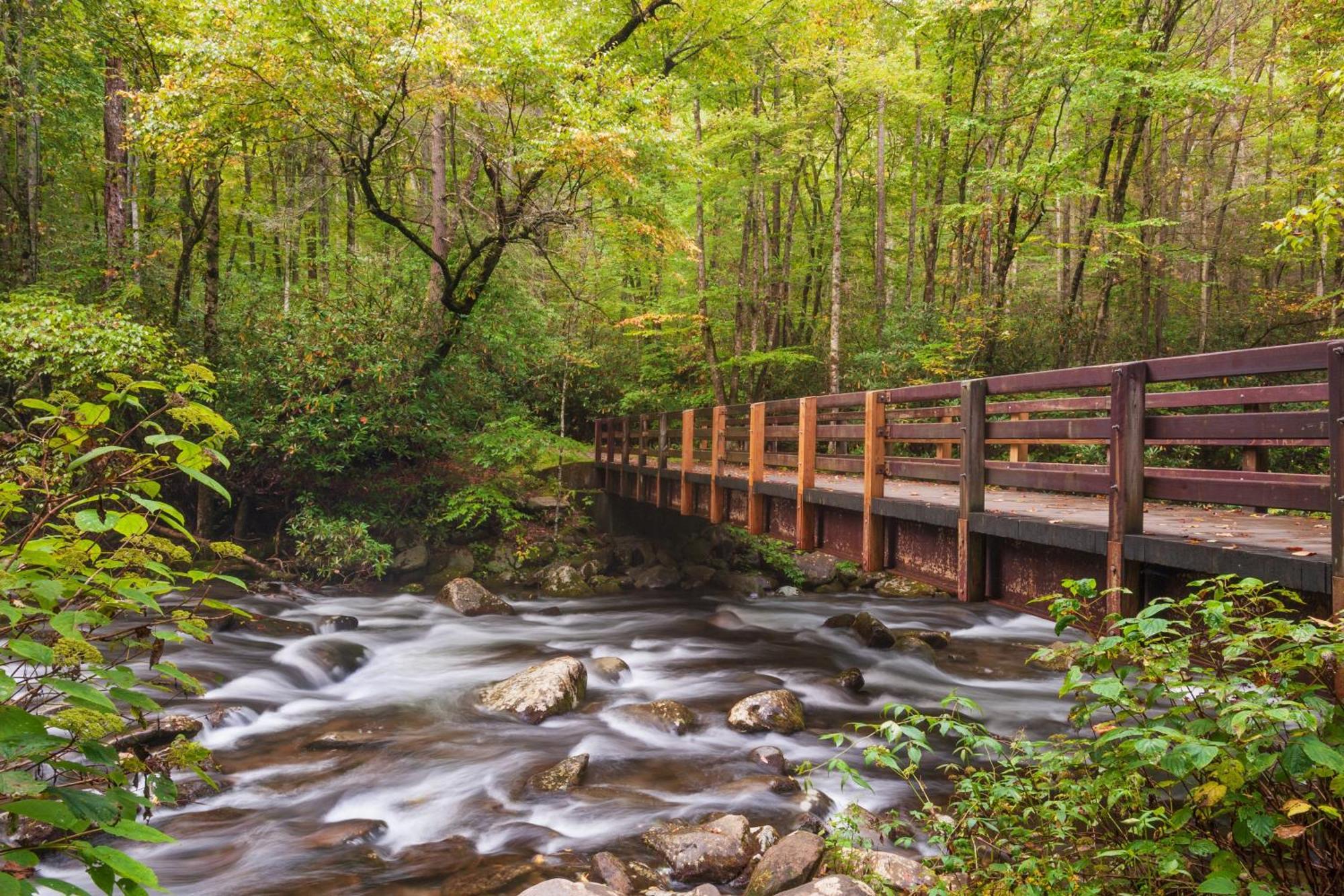 Serenity Heights, Amazing Views, Hot Tub Pool Access, 1089 Free Tickets Each Paid Day, Dollywood Гатлинбург Экстерьер фото